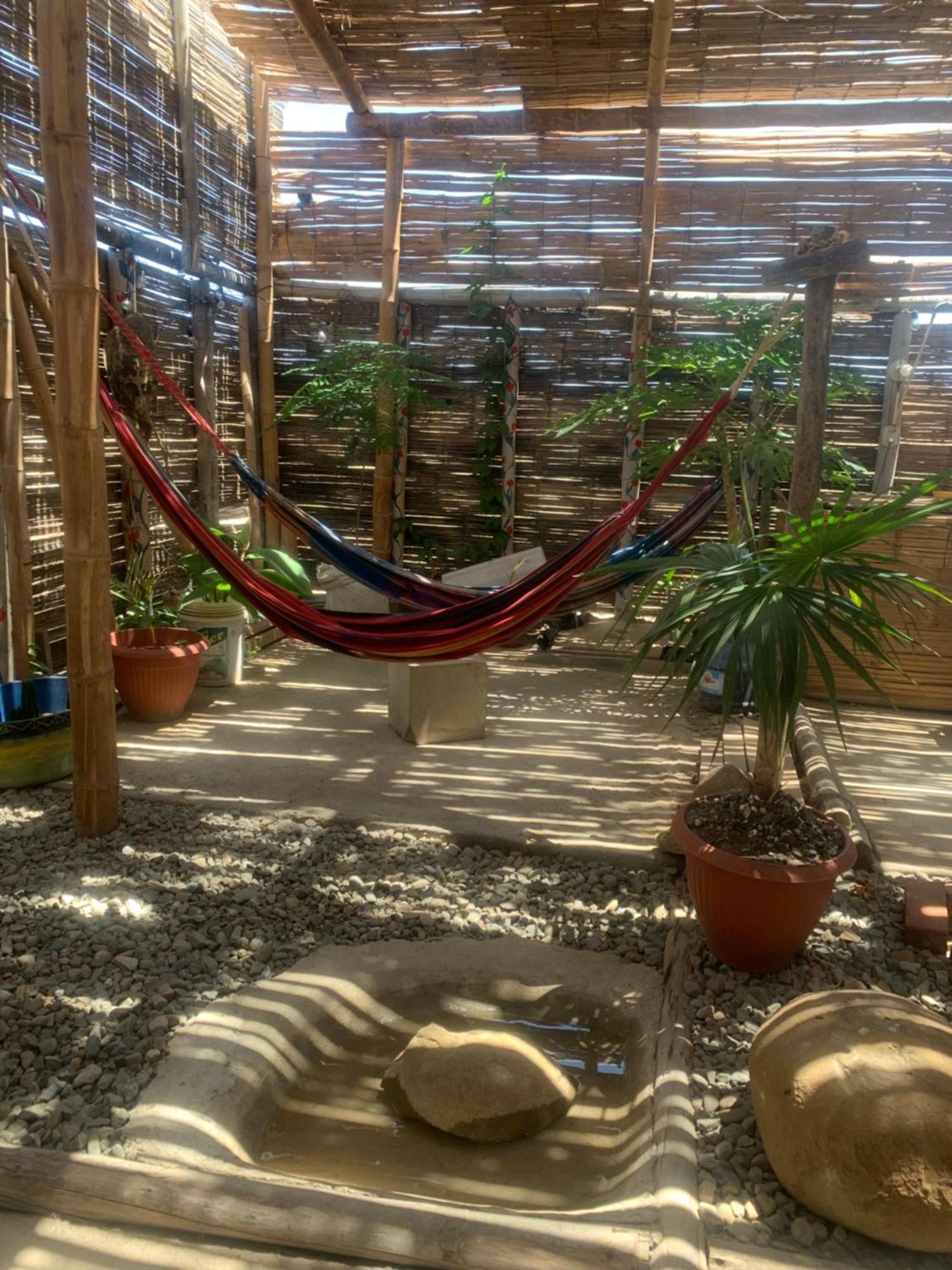 Homestay Tayta Surf House Lobitos